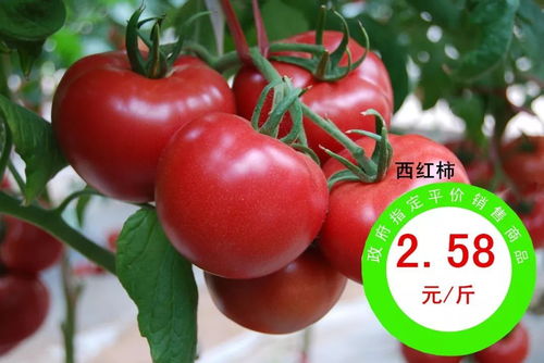 平價(jià)惠民，品質(zhì)安心 政府指定農(nóng)副產(chǎn)品熱銷(xiāo)進(jìn)行時(shí)